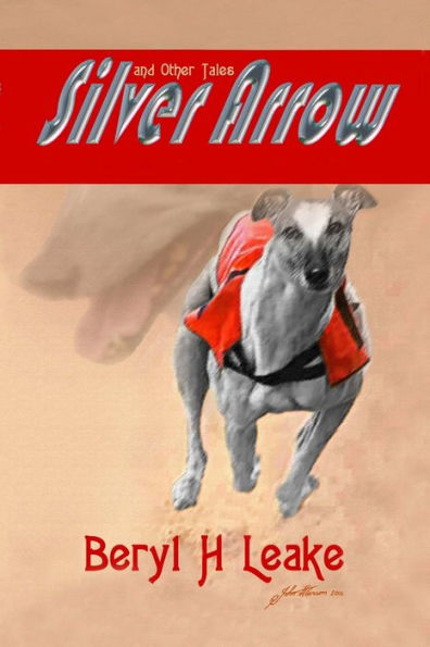 Silver Arrow And Other Tales