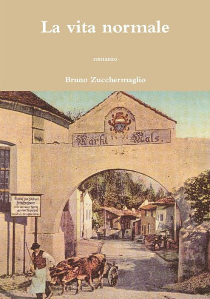 La Vita Normale (Italian Edition)