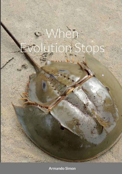 When Evolution Stops