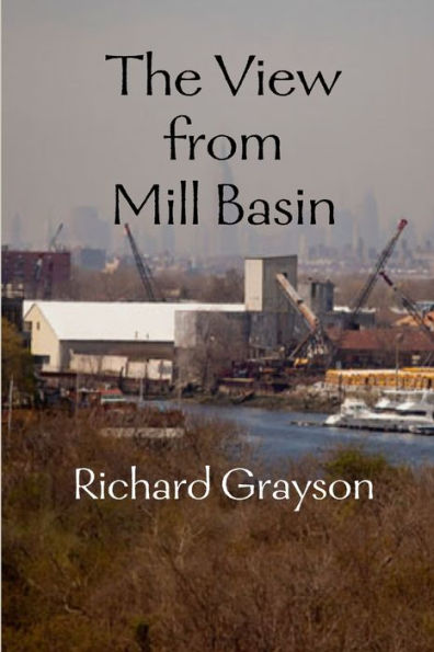 The View From Mill Basin