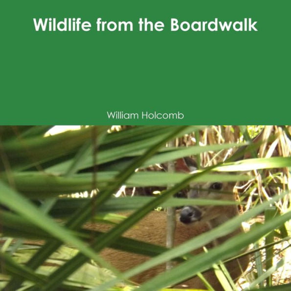 Wildlife From The Boardwalk