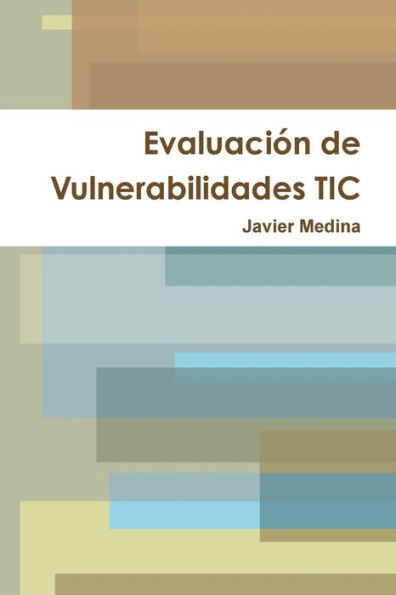 Evaluación De Vulnerabilidades Tic (Spanish Edition)