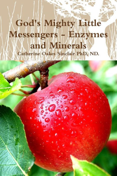 God's Mighty Little Messengers - Enzymes And Minerals