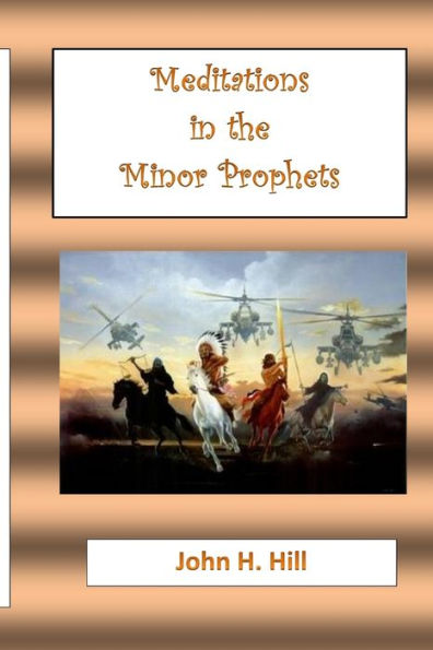 Meditations In The Minor Prophets