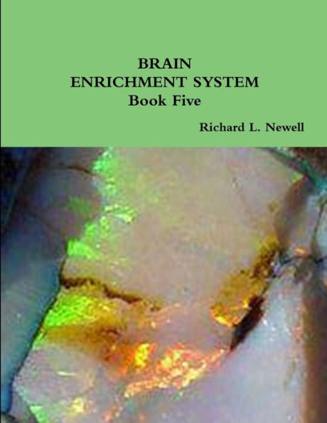 Brain Enrichment System Book Five