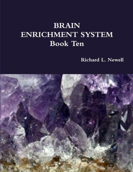 Brain Enrichment System Book Ten