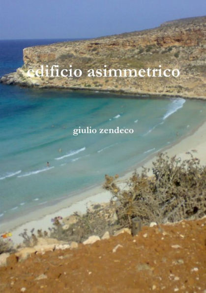 Edificio Asimmetrico (Italian Edition)