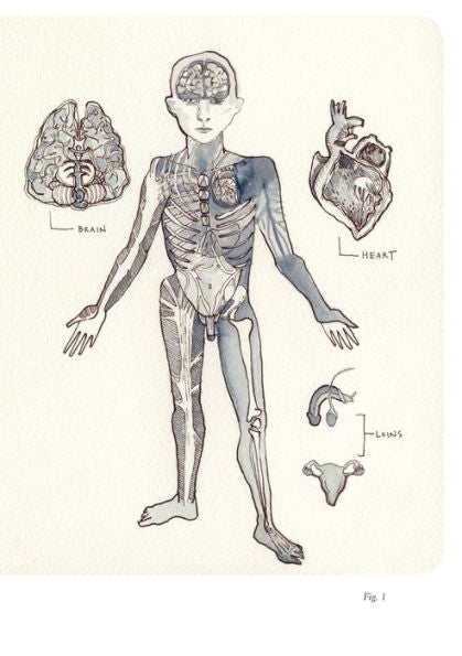 A Poetics Of The Naughty