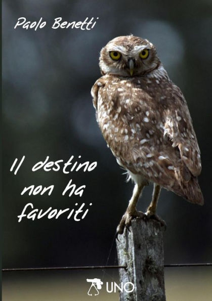 Il Destino Non Ha Favoriti (Italian Edition)