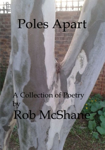 Poles Apart - 9781326156022