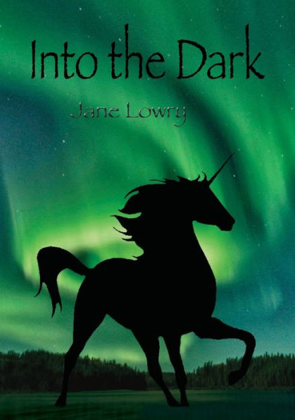 Into The Dark - 9781326348038