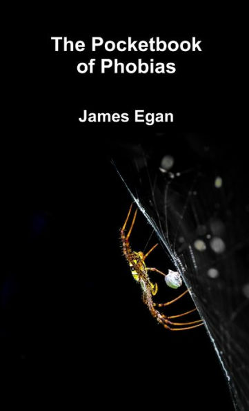 The Pocket Book Of Phobias