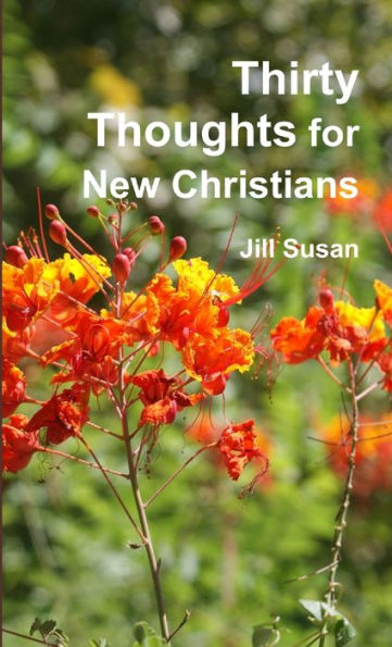 Thirty Thoughts For New Christians