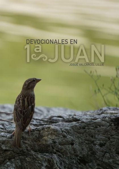 Devocionales En 1ª Juan (Spanish Edition)