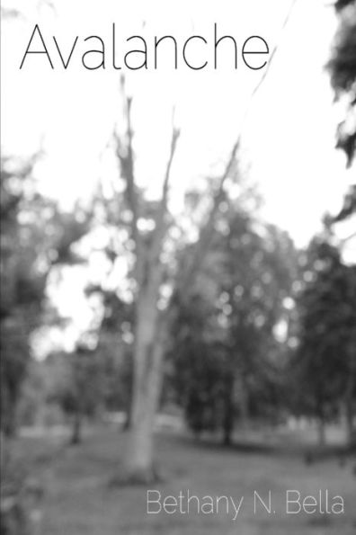 Avalanche - 9781329380813