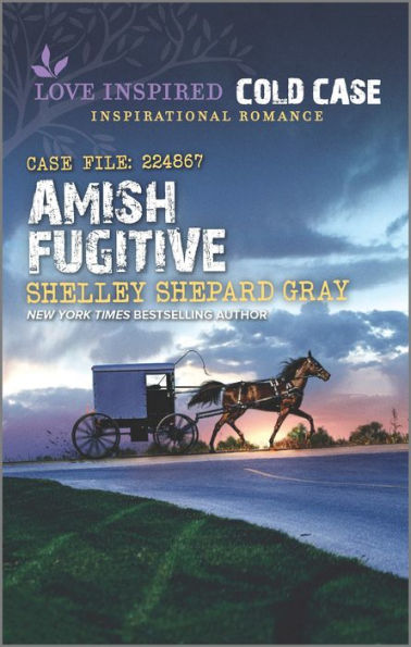 Amish Fugitive (Love Inspired Cold Case)