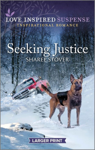 Seeking Justice (Love Inspired Suspense) - 9781335599094