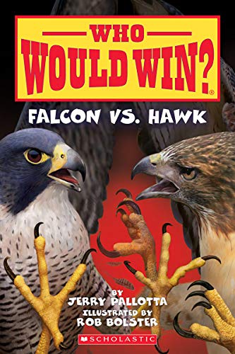 Falcon Vs. Hawk (Who Would Win?) (23)