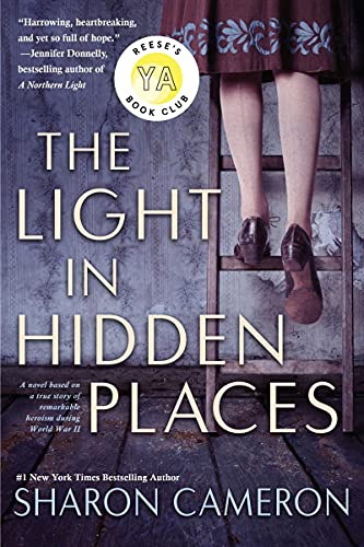The Light In Hidden Places - 9781338355949