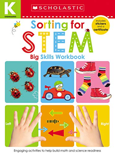 Sorting For Stem Kindergarten Workboo