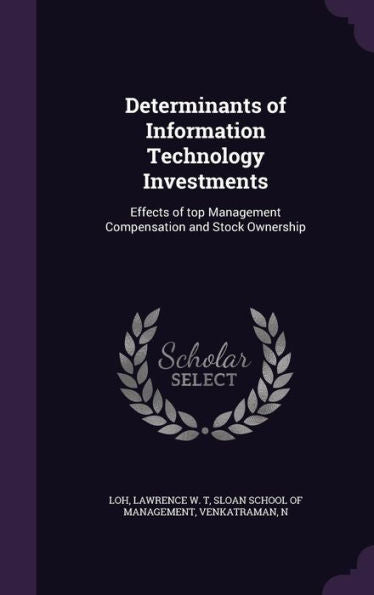 Determinants Of Information Technology Investments: Effects Of Top Management Compensation And Stock Ownership