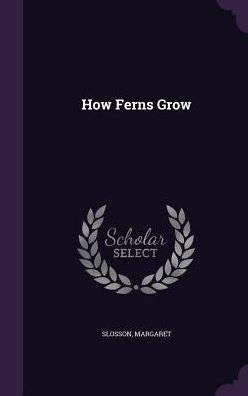 How Ferns Grow