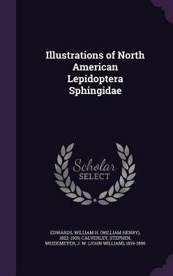 Illustrations Of North American Lepidoptera Sphingidae