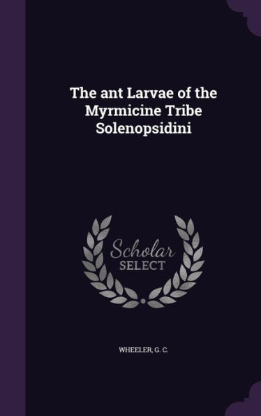 The Ant Larvae Of The Myrmicine Tribe Solenopsidini