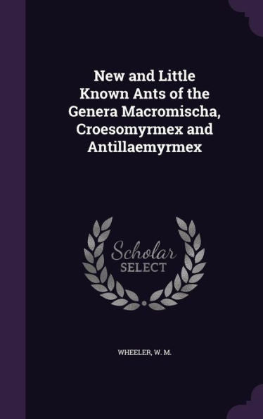 New And Little Known Ants Of The Genera Macromischa, Croesomyrmex And Antillaemyrmex