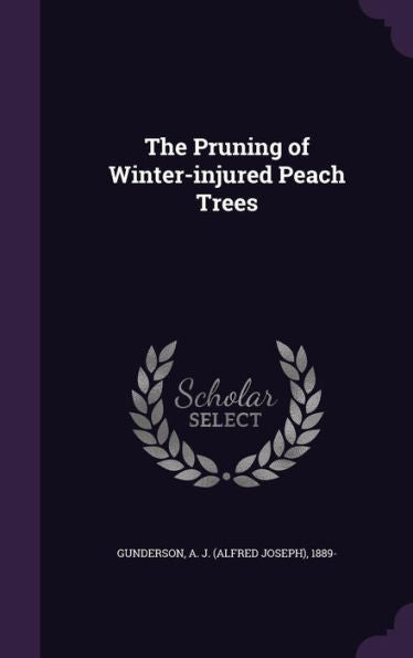 The Pruning Of Winter-Injured Peach Trees