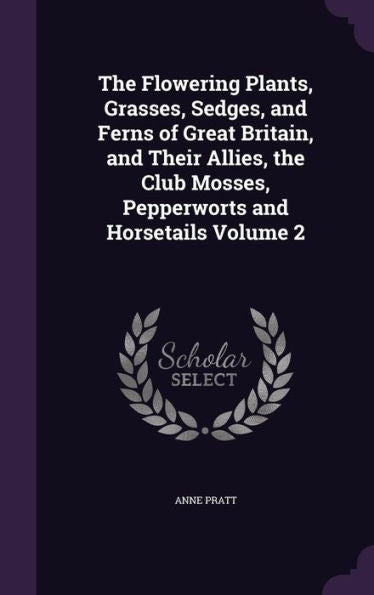 The Flowering Plants, Grasses, Sedges, And Ferns Of Great Britain, And Their Allies, The Club Mosses, Pepperworts And Horsetails Volume 2