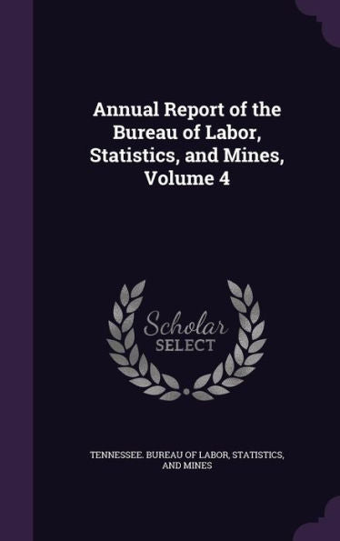 Annual Report Of The Bureau Of Labor, Statistics, And Mines, Volume 4