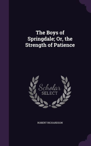 The Boys Of Springdale; Or, The Strength Of Patience