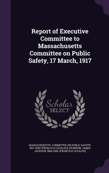 Report Of Executive Committee To Massachusetts Committee On Public Safety, 17 March, 1917