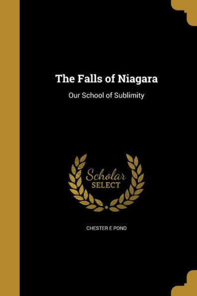 The Falls Of Niagara