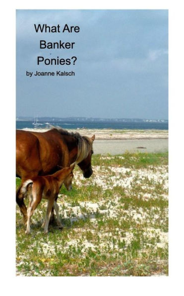 What Are Banker Ponies?: The Horses Of Shackleford Banks