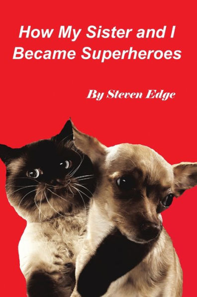 How My Sister And I Became Superheroes