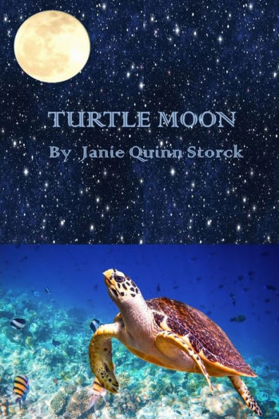Turtle Moon