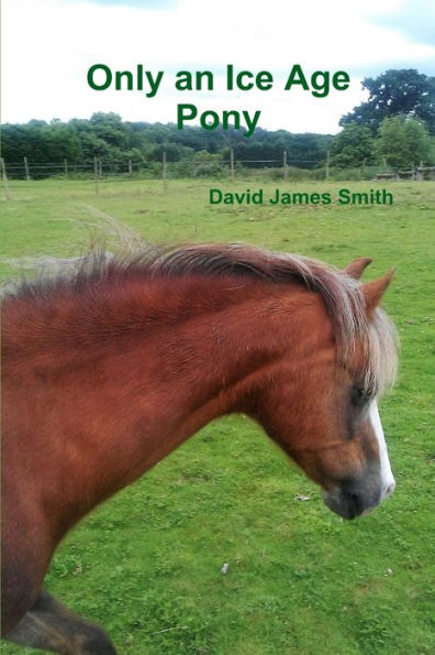 Only An Ice Age Pony