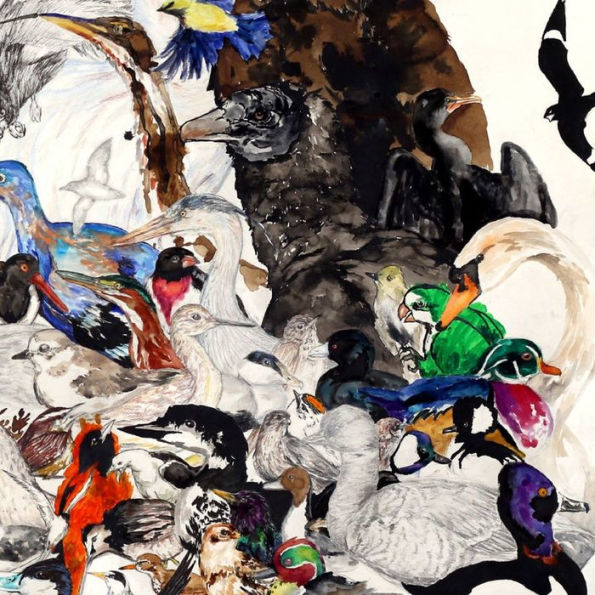 10,000 Birds: Volume 1