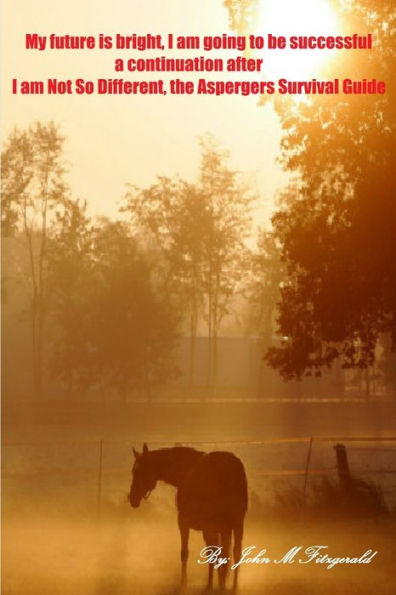 My Future Is Bright; I Am Going To Be Successful. A Continuation Of I Am Not So Different, The Aspergers Survival Guide