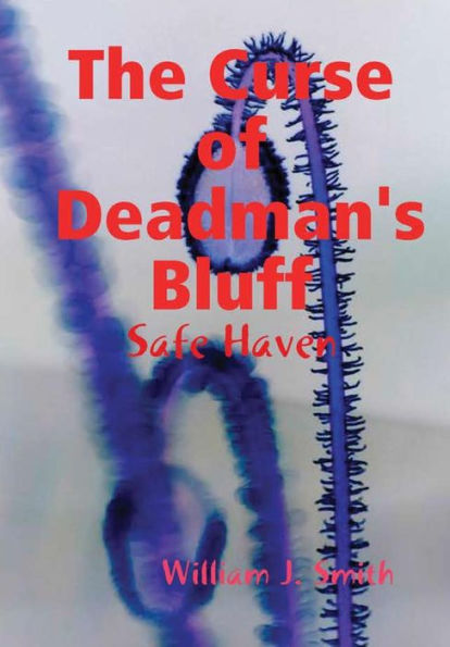 The Curse Of Deadman's Bluff: The Safe Zone
