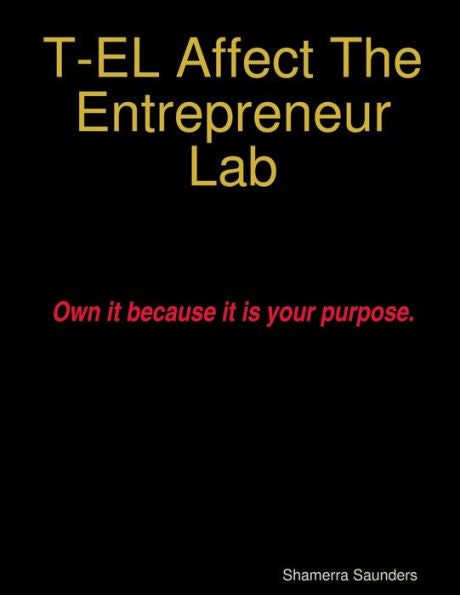 T-El Affect The Entrepreneur Lab