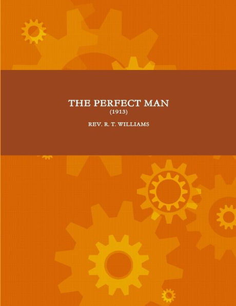 The Perfect Man (1913)