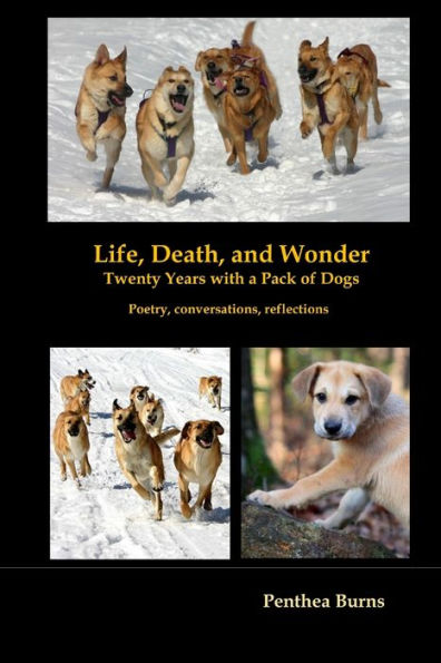 Life, Death, And Wonder Twenty Years With A Pack Of Dogs