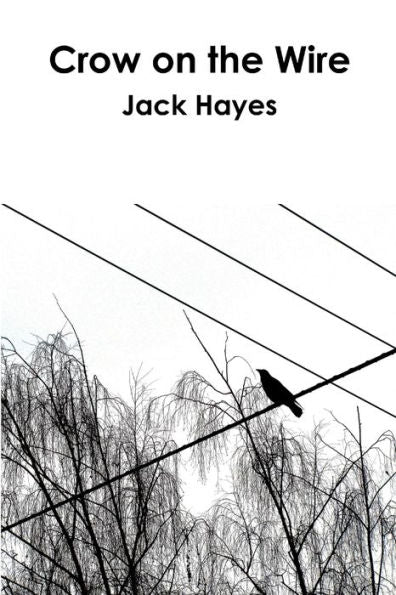 Crow On The Wire