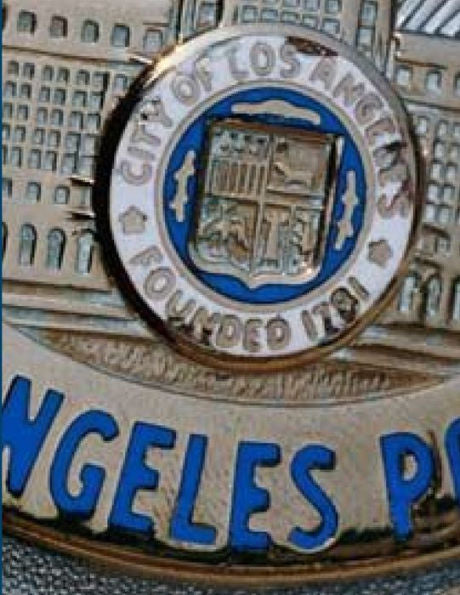 California Codes, A Reference Book For Law Enforcement 2017