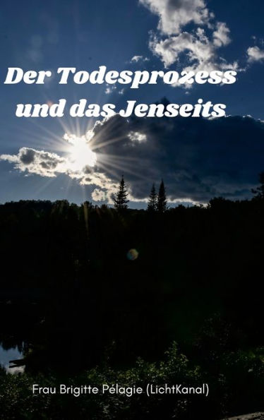 Der Todesprozess Und Das Jenseits (Hardcover) (German Edition)