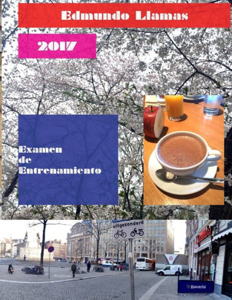 Examen De Entrenamiento 2017 (Spanish Edition)