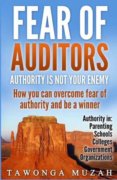 Fear Of Auditors